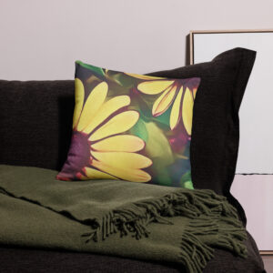 Two Of A Kind Daisy Pillow